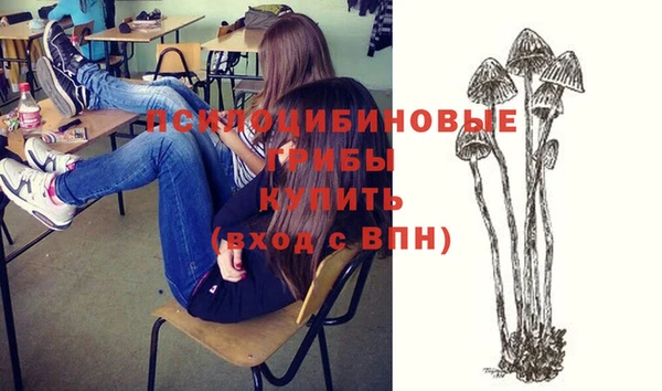 mix Алексеевка