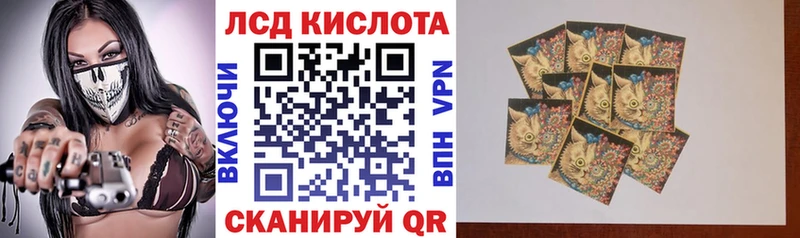 Наркотические марки 1500мкг  KRAKEN   Каневская 