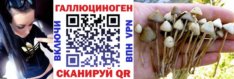 сайты даркнета как зайти  дарнет шоп  Каневская  Псилоцибиновые грибы GOLDEN TEACHER 